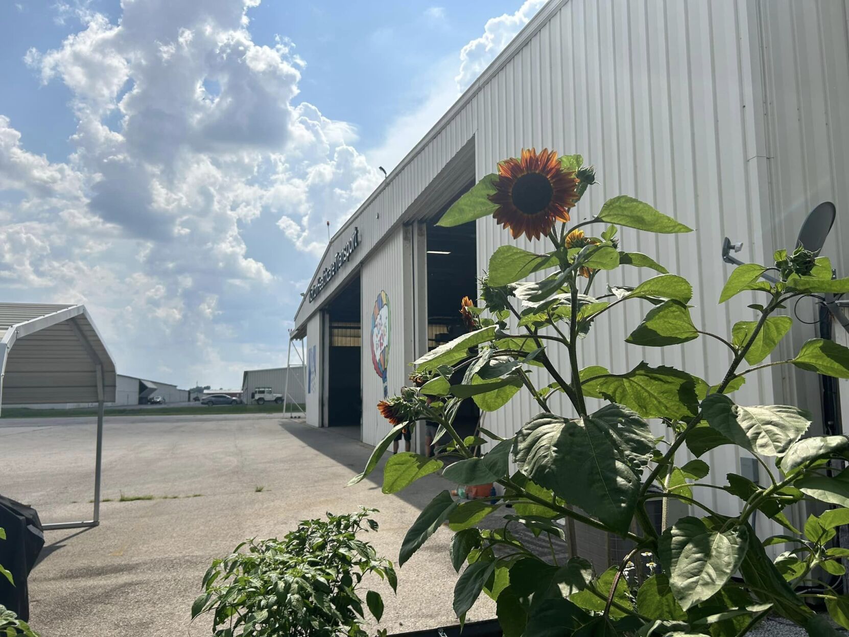 Louisville healthcare workers growing a place for peace through gardening